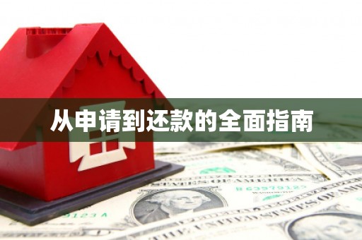 树林从申请到还款的全面指南