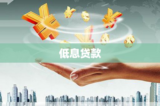 树林低息贷款