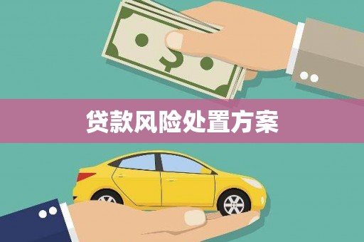 树林贷款风险处置方案