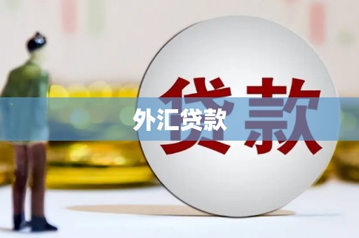 树林外汇贷款