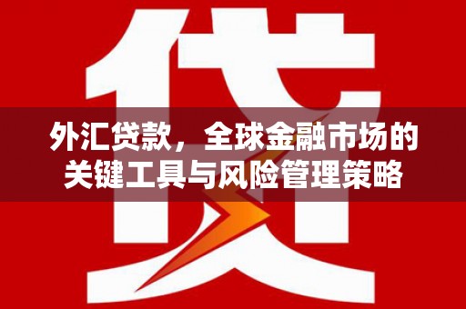 树林外汇贷款，全球金融市场的关键工具与风险管理策略