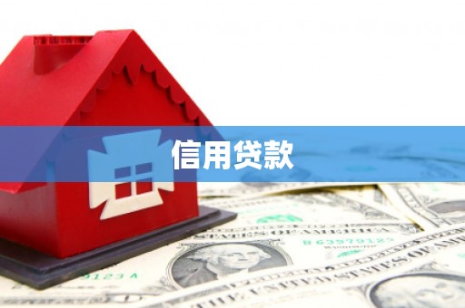 树林信用贷款
