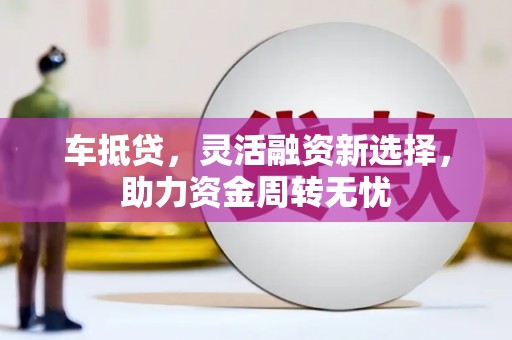 树林车抵贷，灵活融资新选择，助力资金周转无忧