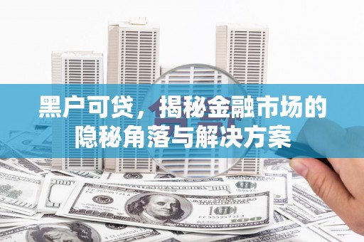 树林黑户可贷，揭秘金融市场的隐秘角落与解决方案