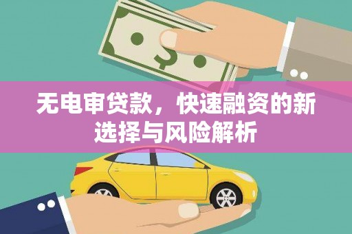 树林无电审贷款，快速融资的新选择与风险解析