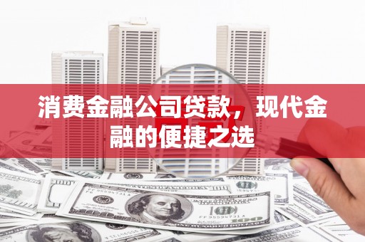 树林消费金融公司贷款，现代金融的便捷之选
