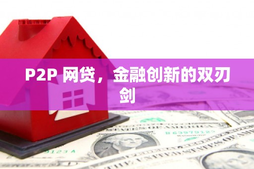 树林P2P 网贷，金融创新的双刃剑