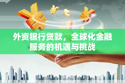 树林外资银行贷款，全球化金融服务的机遇与挑战