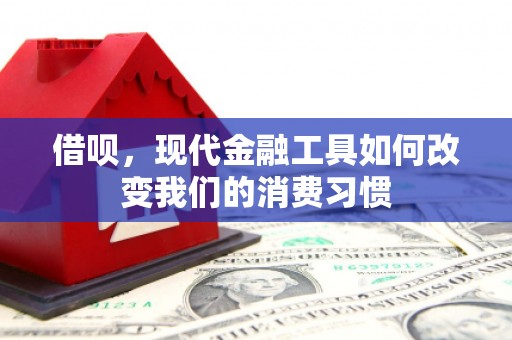 树林借呗，现代金融工具如何改变我们的消费习惯