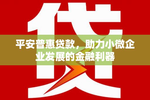 树林平安普惠贷款，助力小微企业发展的金融利器