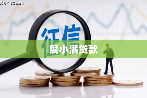 树林度小满贷款