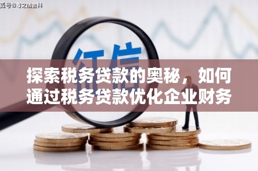树林探索税务贷款的奥秘，如何通过税务贷款优化企业财务