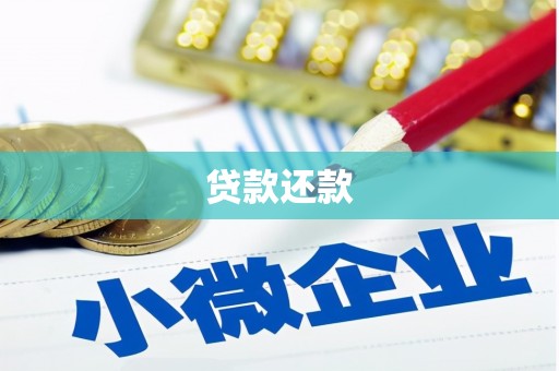 树林贷款还款