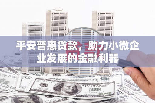 树林平安普惠贷款，助力小微企业发展的金融利器