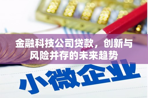 树林金融科技公司贷款，创新与风险并存的未来趋势