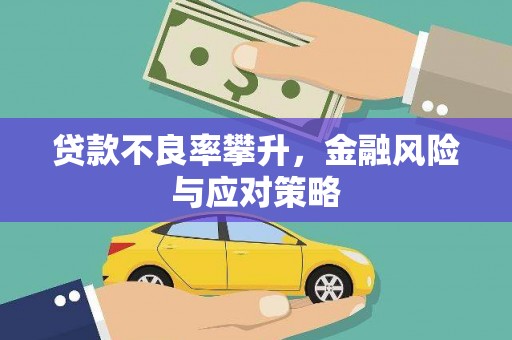 树林贷款不良率攀升，金融风险与应对策略