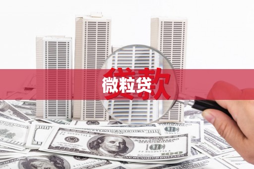 树林微粒贷