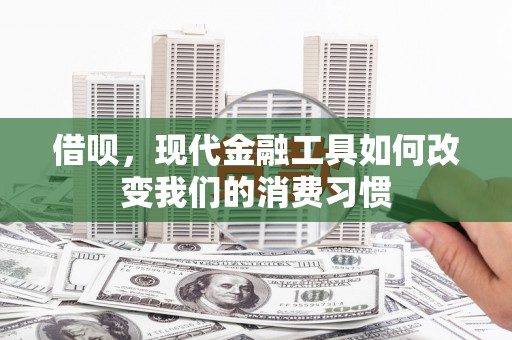 树林借呗，现代金融工具如何改变我们的消费习惯