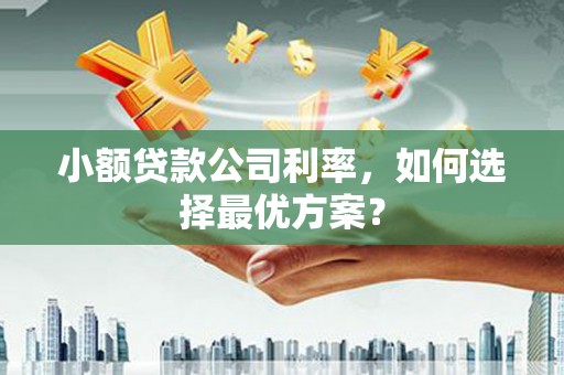 树林小额贷款公司利率，如何选择最优方案？
