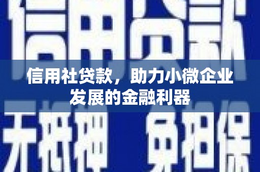 树林信用社贷款，助力小微企业发展的金融利器