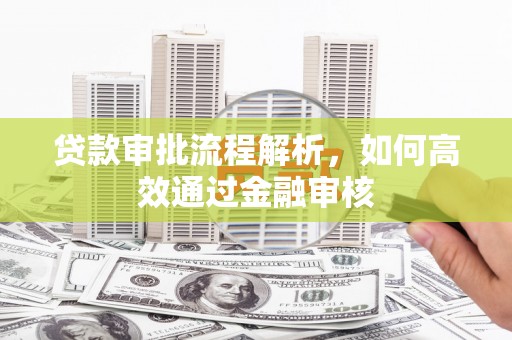 树林贷款审批流程解析，如何高效通过金融审核