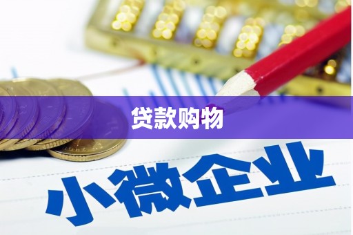 树林贷款购物
