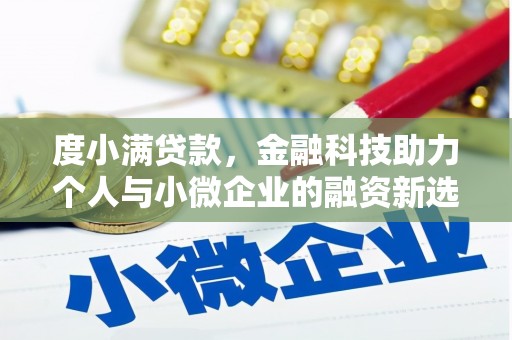 树林度小满贷款，金融科技助力个人与小微企业的融资新选择