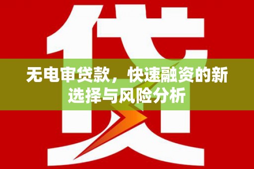 树林无电审贷款，快速融资的新选择与风险分析