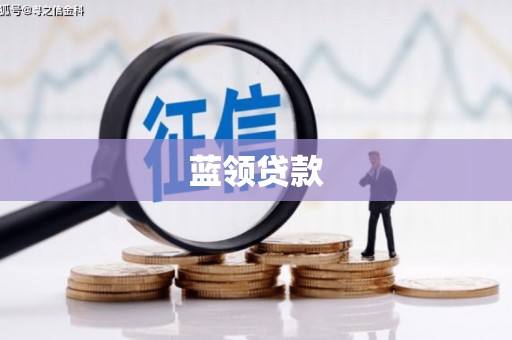 树林蓝领贷款