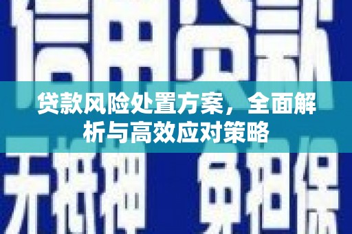 树林贷款风险处置方案，全面解析与高效应对策略
