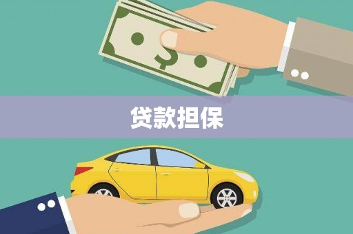 树林贷款担保