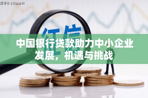 树林中国银行贷款助力中小企业发展，机遇与挑战