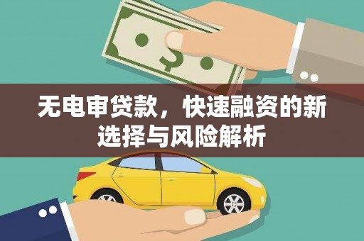树林无电审贷款，快速融资的新选择与风险解析