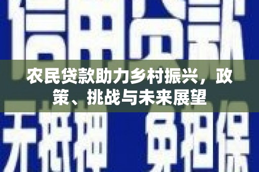 树林农民贷款助力乡村振兴，政策、挑战与未来展望