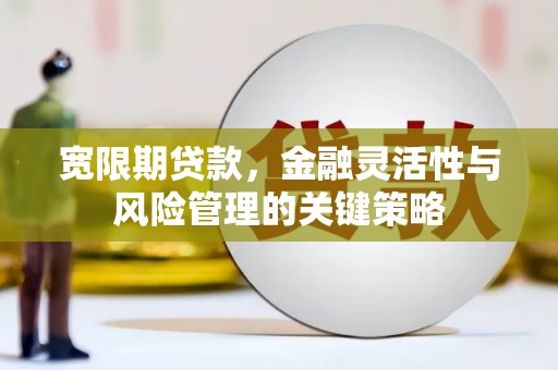 树林宽限期贷款，金融灵活性与风险管理的关键策略