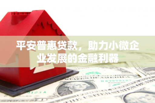 树林平安普惠贷款，助力小微企业发展的金融利器
