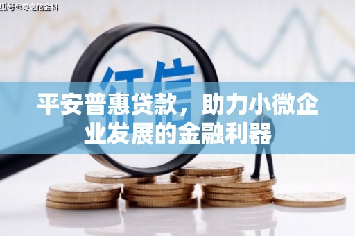 树林平安普惠贷款，助力小微企业发展的金融利器