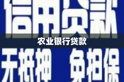 树林农业银行贷款
