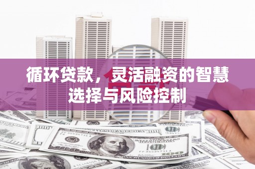 树林循环贷款，灵活融资的智慧选择与风险控制