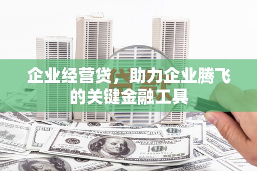 树林企业经营贷，助力企业腾飞的关键金融工具