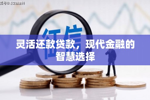 树林灵活还款贷款，现代金融的智慧选择