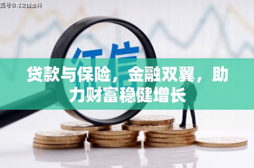 树林贷款与保险，金融双翼，助力财富稳健增长