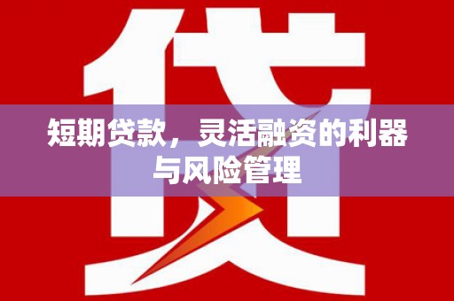 树林短期贷款，灵活融资的利器与风险管理