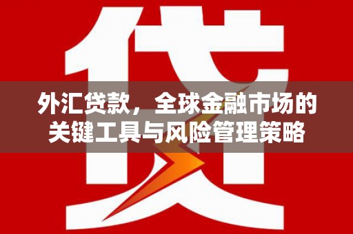 树林外汇贷款，全球金融市场的关键工具与风险管理策略
