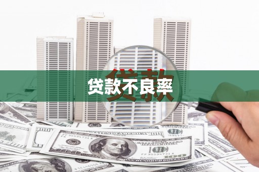 树林贷款不良率