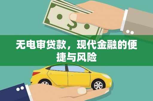 树林无电审贷款，现代金融的便捷与风险