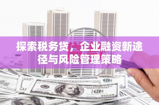 树林探索税务贷，企业融资新途径与风险管理策略