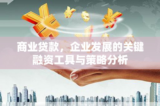 树林商业贷款，企业发展的关键融资工具与策略分析