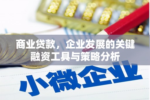 树林商业贷款，企业发展的关键融资工具与策略分析