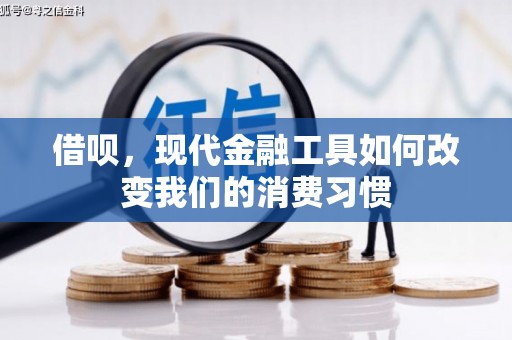 树林借呗，现代金融工具如何改变我们的消费习惯